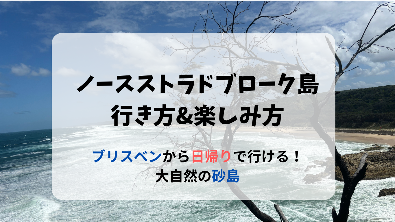 ノースストラドブローク島行き方&楽しみ方