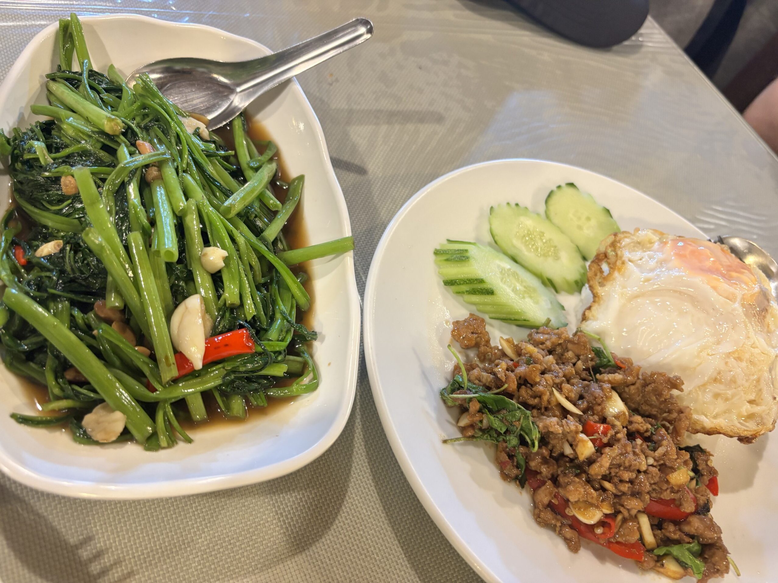 モーニンググローリー、ガパオライス